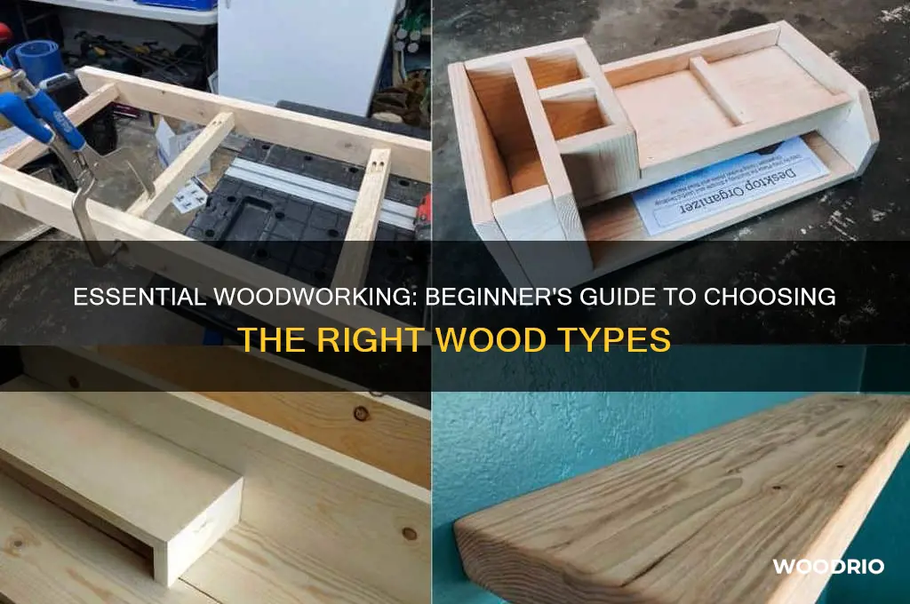 what wood goiges to buy as a begginer