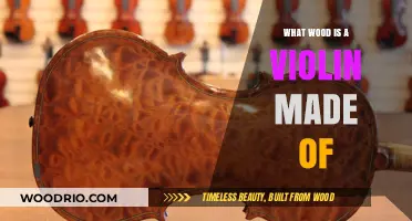 Exploring the Rich Tones: Woods Used in Violin Craftsmanship
