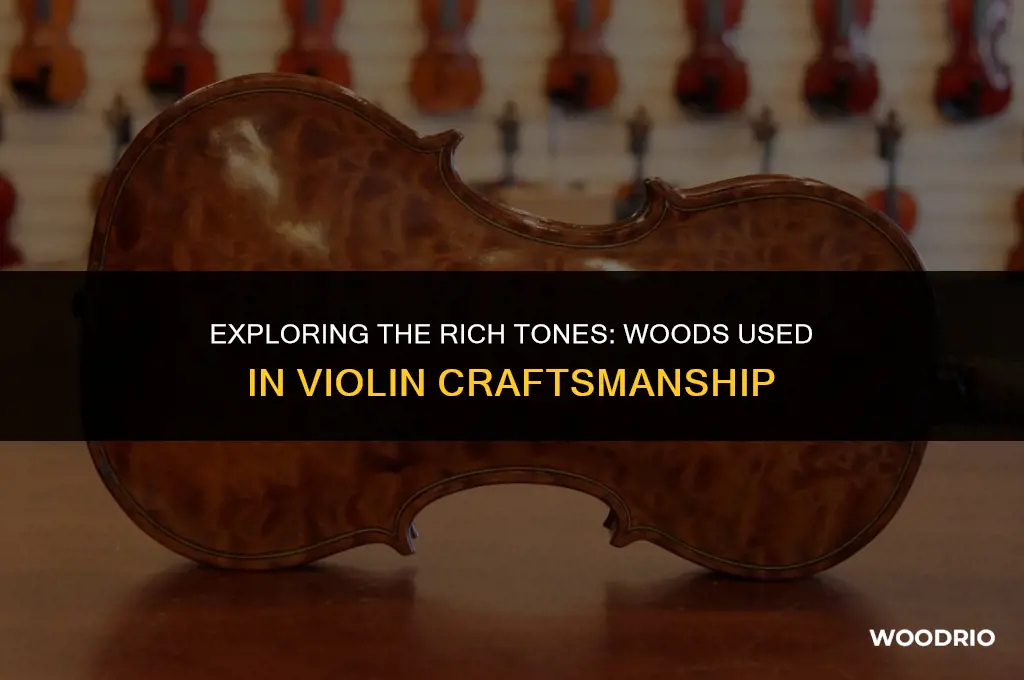 what wood is a violin made of