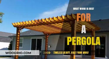 Choosing the Perfect Wood for Your Dream Pergola: A Comprehensive Guide