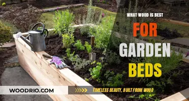 Choosing the Perfect Wood for Your Garden Beds: A Comprehensive Guide