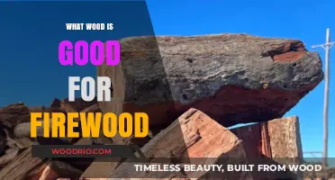 Choosing the Best Wood for Firewood: A Comprehensive Guide