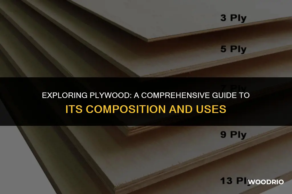 what wood is plywood made of