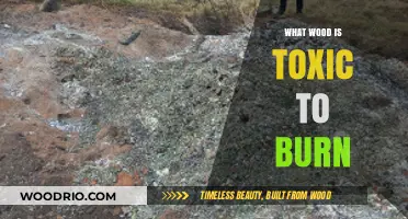 Toxic Timbers: Which Woods Should Never Be Burned