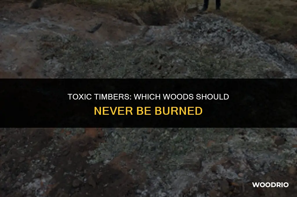 what wood is toxic to burn