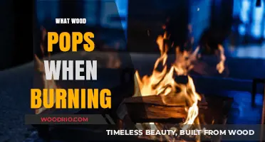 Exploring the Surprising Sounds of Burning Wood: A Crackling Mystery