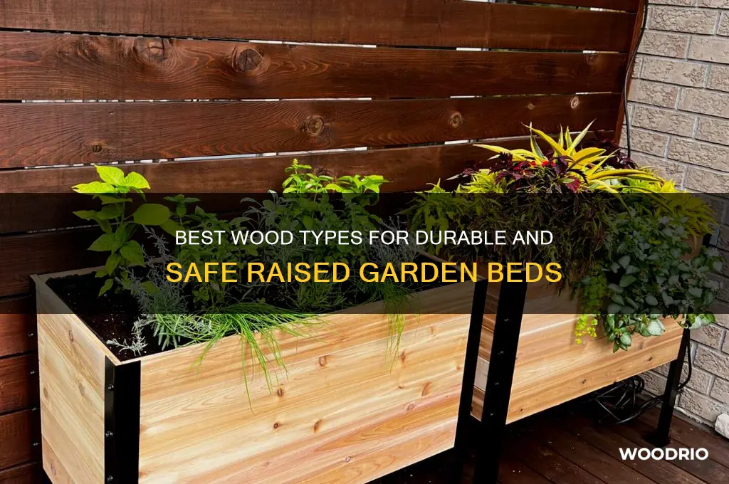 what wood to buy for raised garden bed