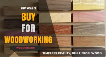 Choosing the Right Wood for Your Woodworking Projects: A Guide