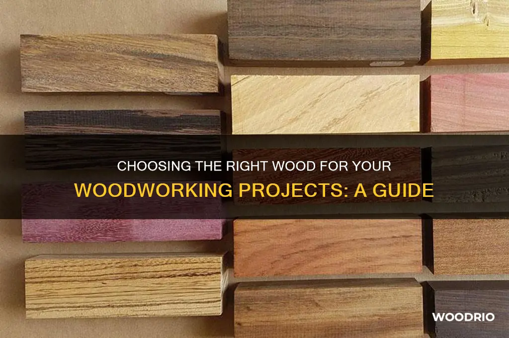 what wood to buy for woodworking