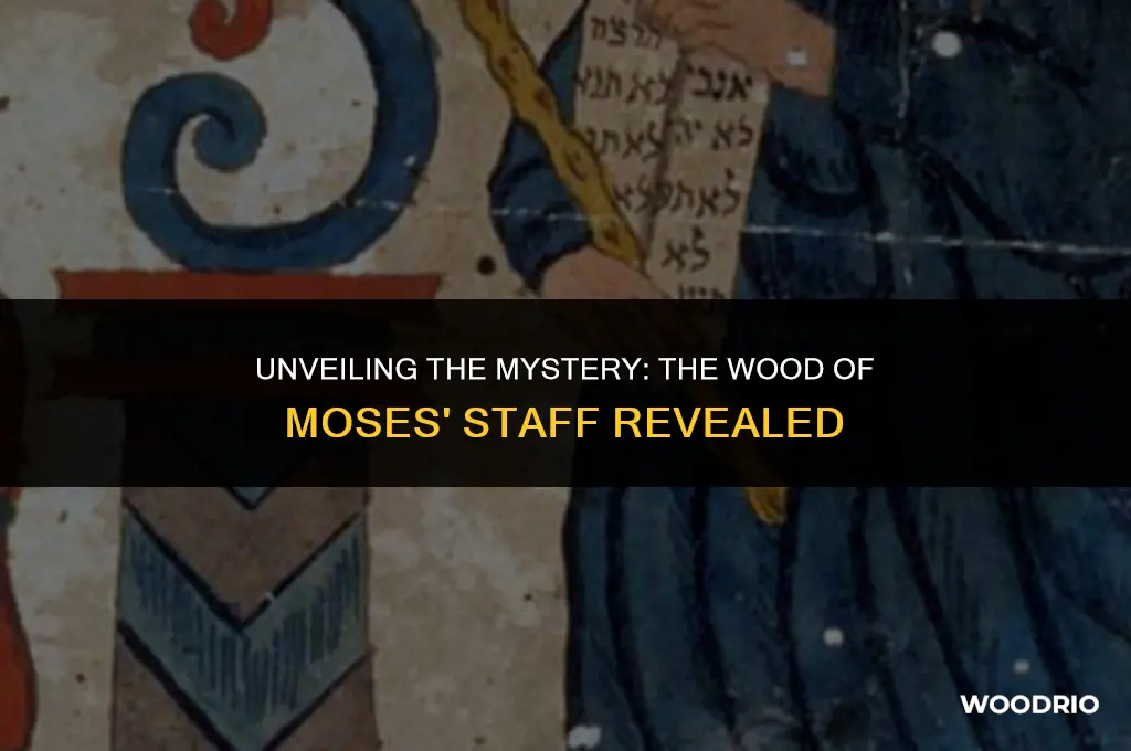 what wood was moses staff made from