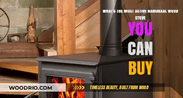Top Namakkal Wood Stove: Discover the Most Active Model Available
