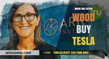 Cathie Wood's Tesla Investment: A Timeline of Her Strategic Buys