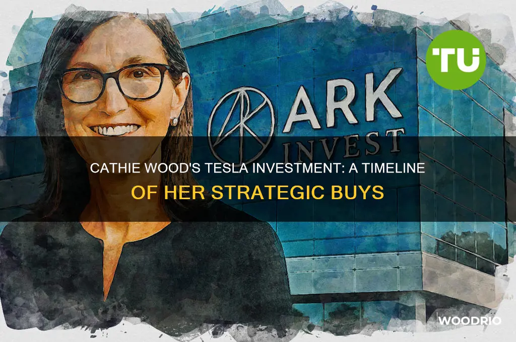 when did cathie wood buy tesla