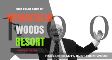 Joe Hardy's Nemacolin Woods Resort Acquisition: A Timeline Revealed