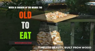 Identifying Overripe Chicken of the Woods: When to Avoid Consumption