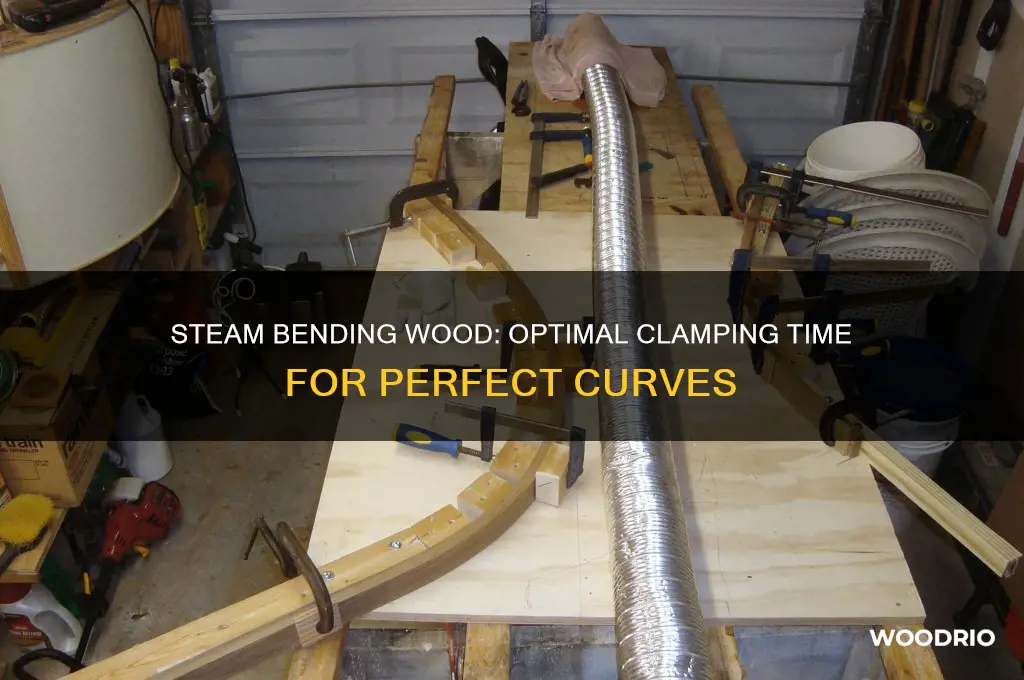 when steam bending wood how long should it be clamped