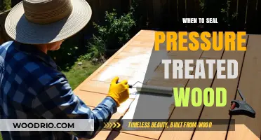 Optimal Timing for Sealing Pressure-Treated Wood: A Comprehensive Guide