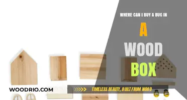Unique Bug in a Wood Box: Where to Purchase This Fascinating Collectible