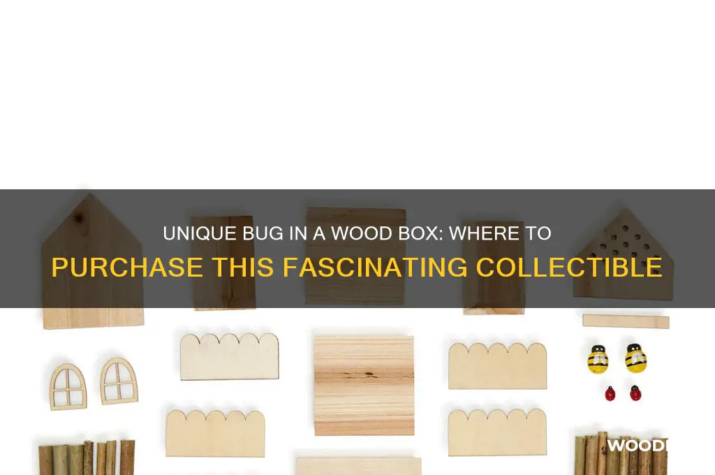 where can i buy a bug in a wood box