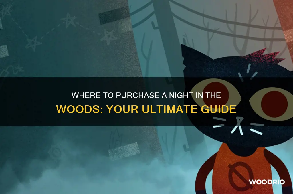 where can i buy a night in the woods