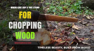 Best Places to Buy Tree Stumps for Wood Chopping: A Guide
