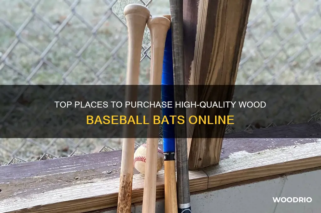 where can i buy a wood baseball bat