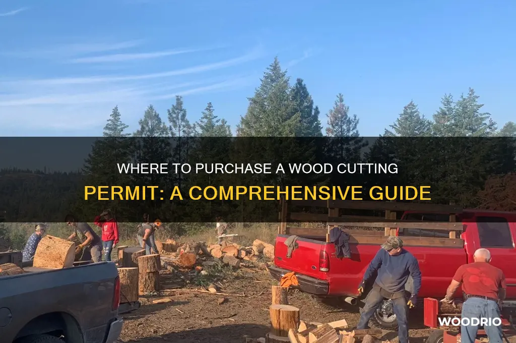 where can i buy a wood cutting permit