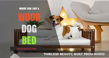 Top Places to Purchase a Cozy Wood Dog Bed Online