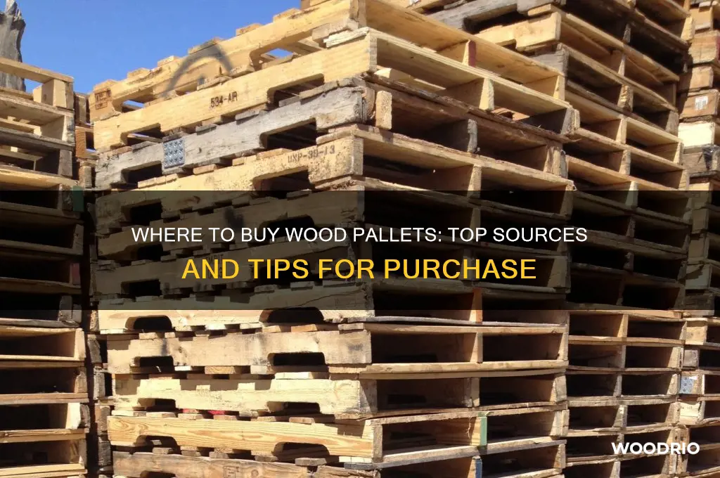 where can i buy a wood pallet