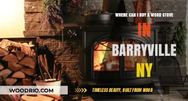 Best Wood Stove Retailers Near Barryville, NY: Your Ultimate Guide