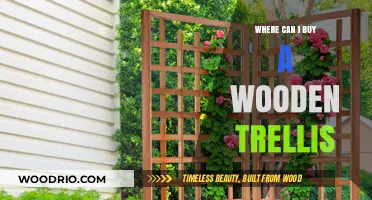 Best Places to Purchase a Wooden Trellis for Your Garden