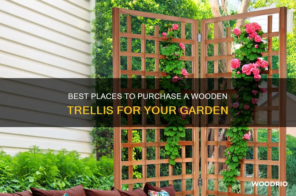 where can i buy a wooden trellis