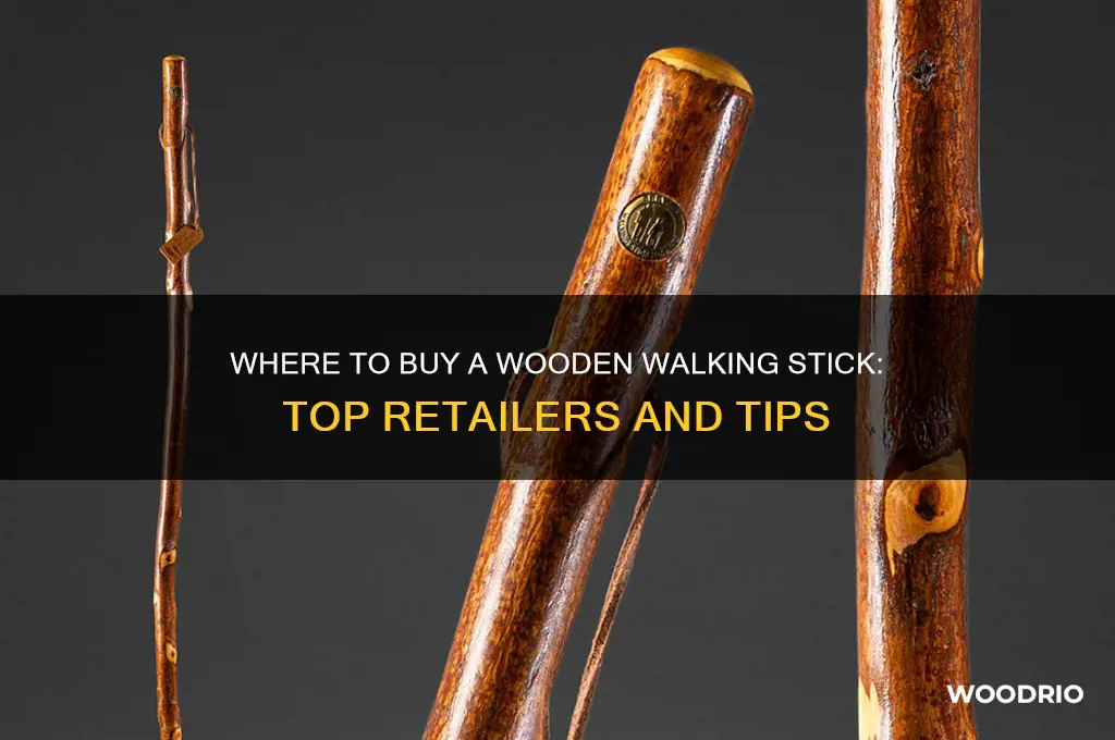 where can i buy a wooden walking stick
