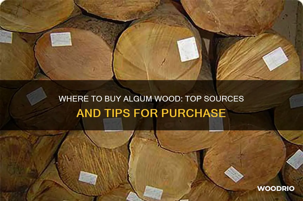 where can i buy algum wood