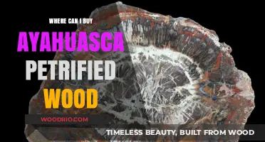 Discover Ayahuasca Petrified Wood: Top Sources to Purchase Authentically