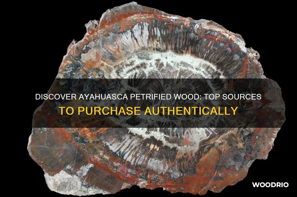where can i buy ayahuasca petrified wood