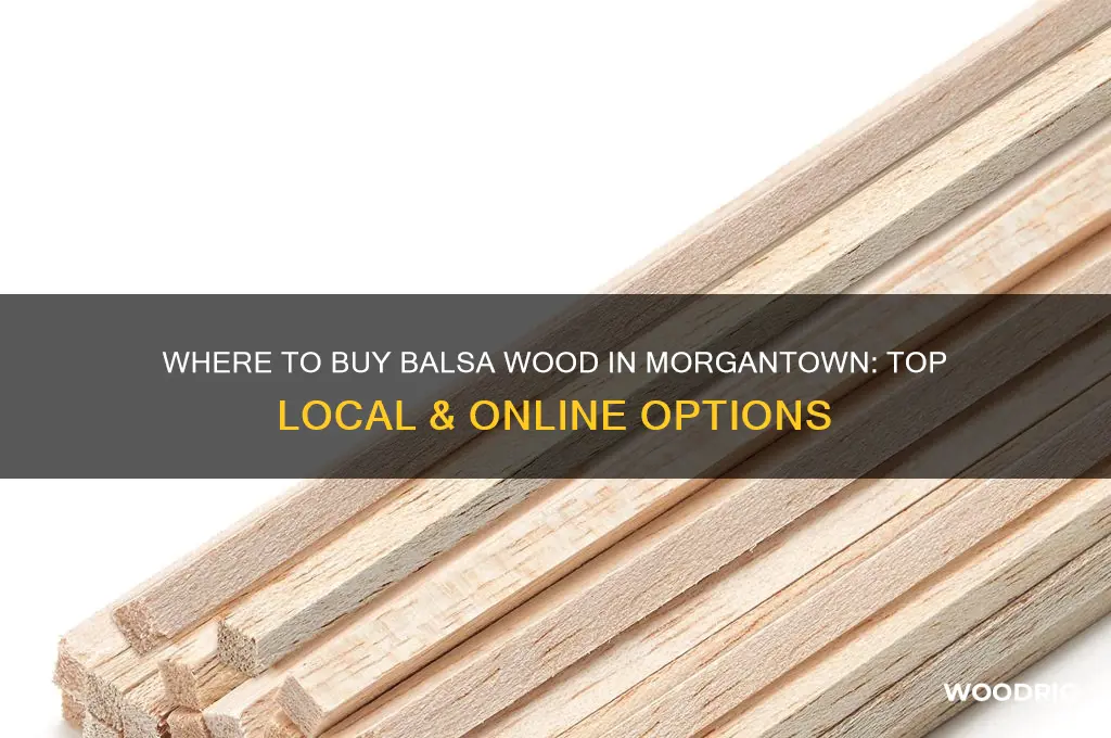 where can i buy balsa wood in morgantown