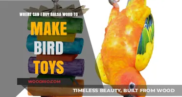 Best Places to Buy Balsa Wood for DIY Bird Toys