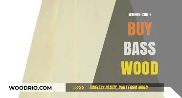 Where to Buy Basswood: Top Suppliers and Stores for Woodworkers