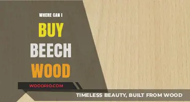 Where to Buy Beech Wood: Top Suppliers and Online Stores