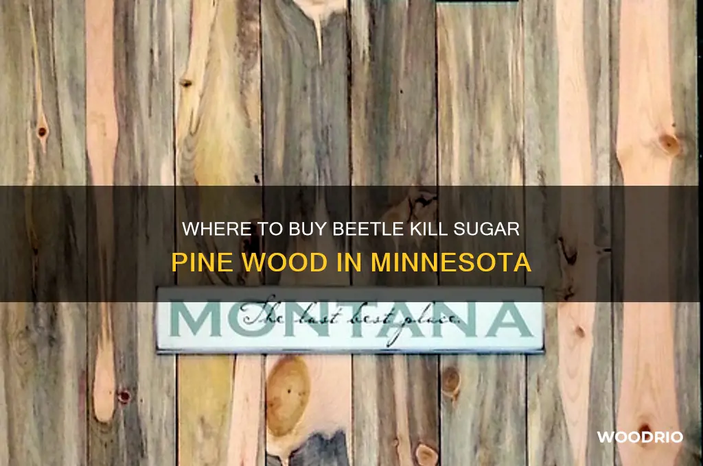 where can i buy beetle kill sugar pine wood minnesota
