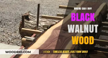 Where to Buy Black Walnut Wood: Top Sources and Tips