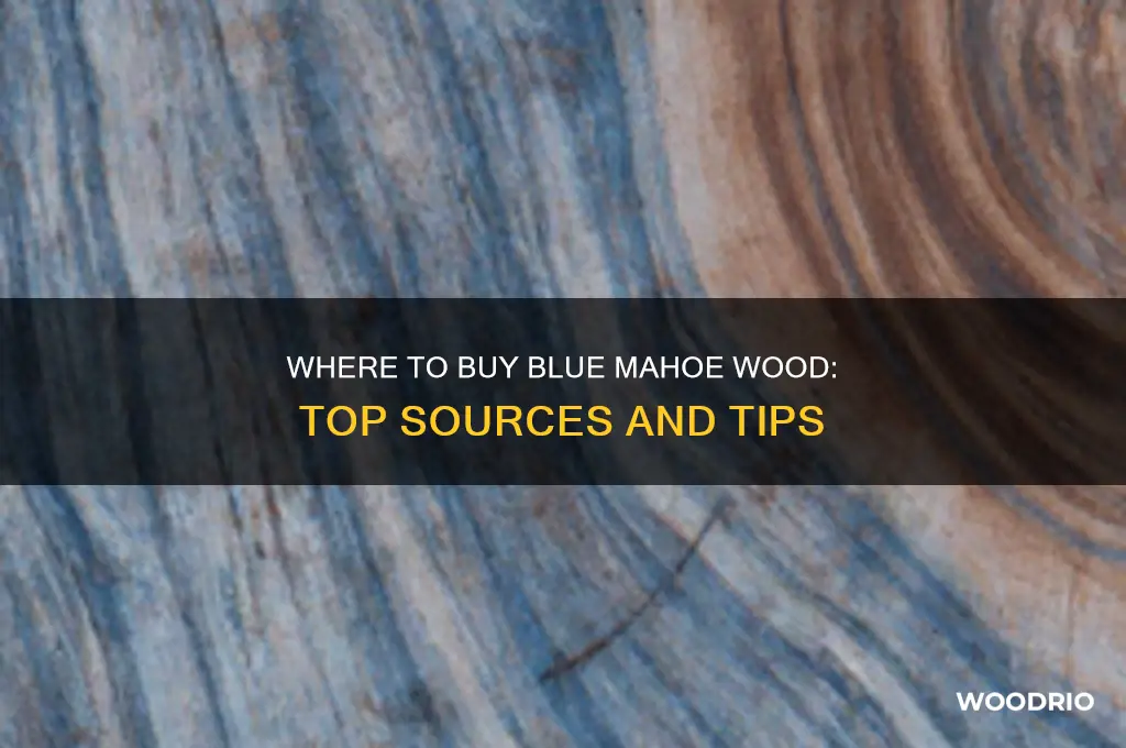 where can i buy blue mahoe wood