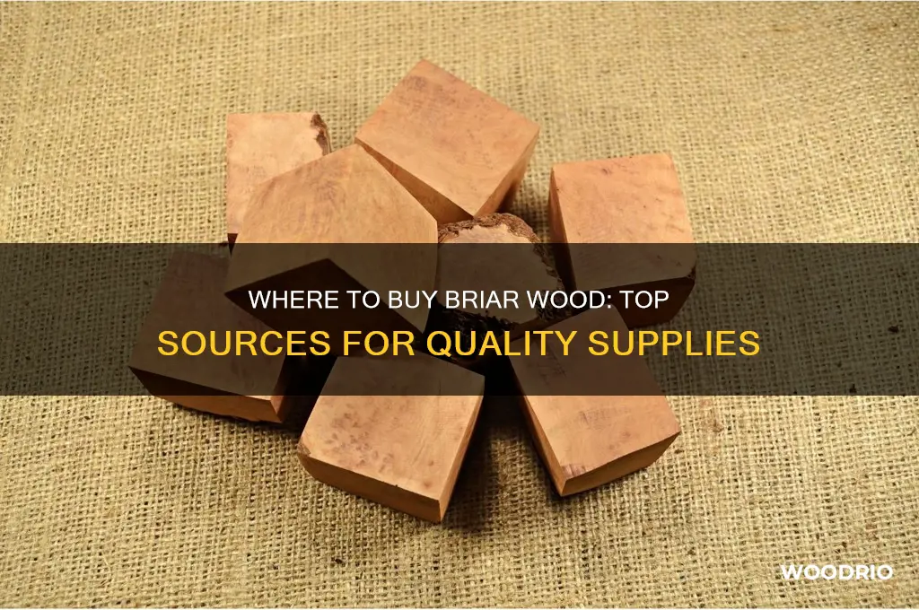 where can i buy briar wood