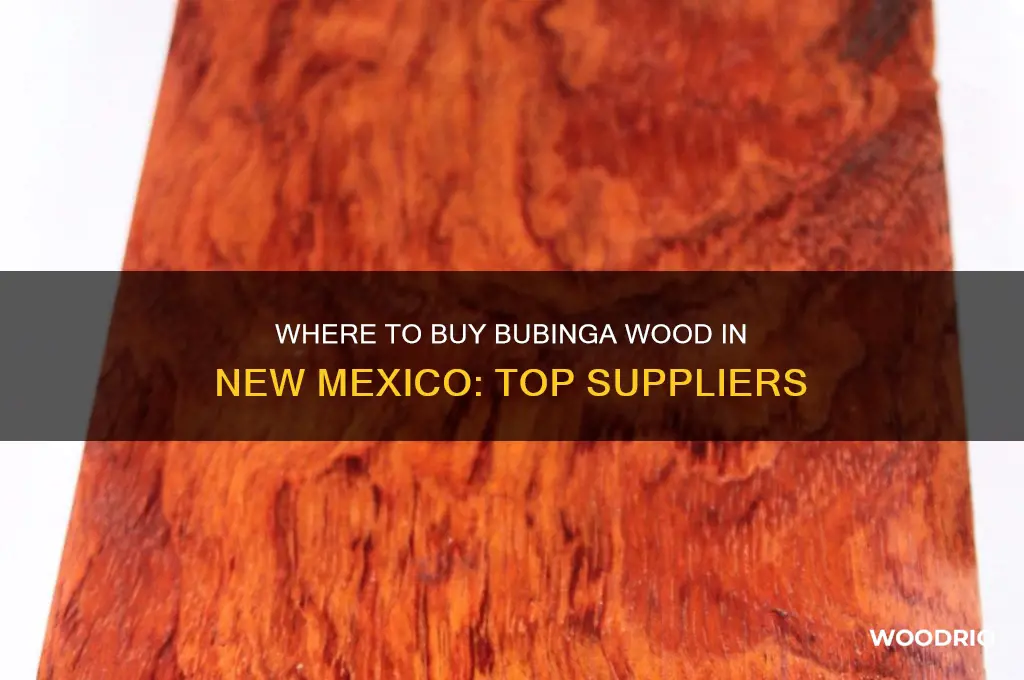 where can i buy bubinga wood in nm