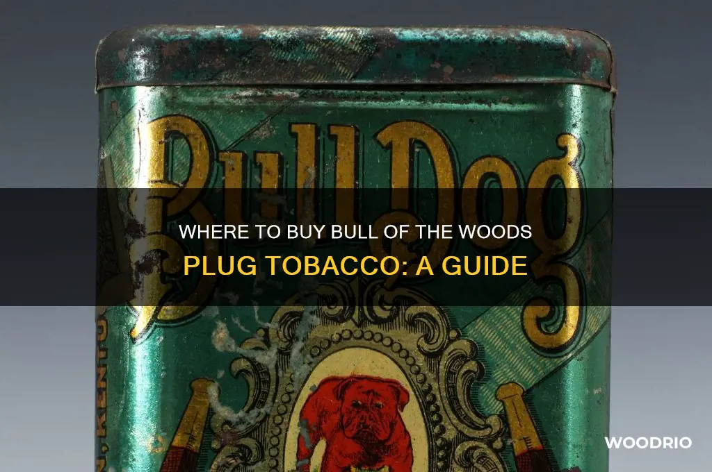 where can i buy bull of the woods plug tobacco