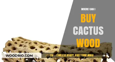 Discover the Best Places to Buy Cactus Wood Online and Locally