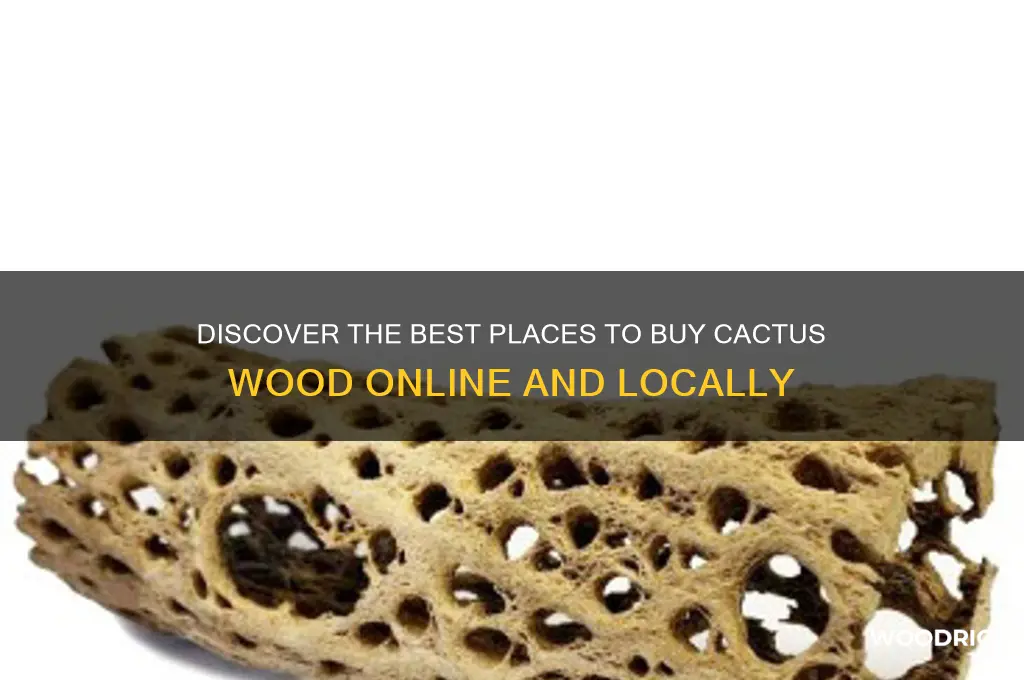 where can i buy cactus wood