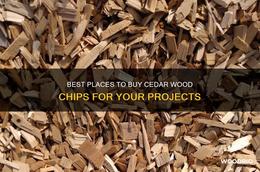 where can i buy cedar wood chips