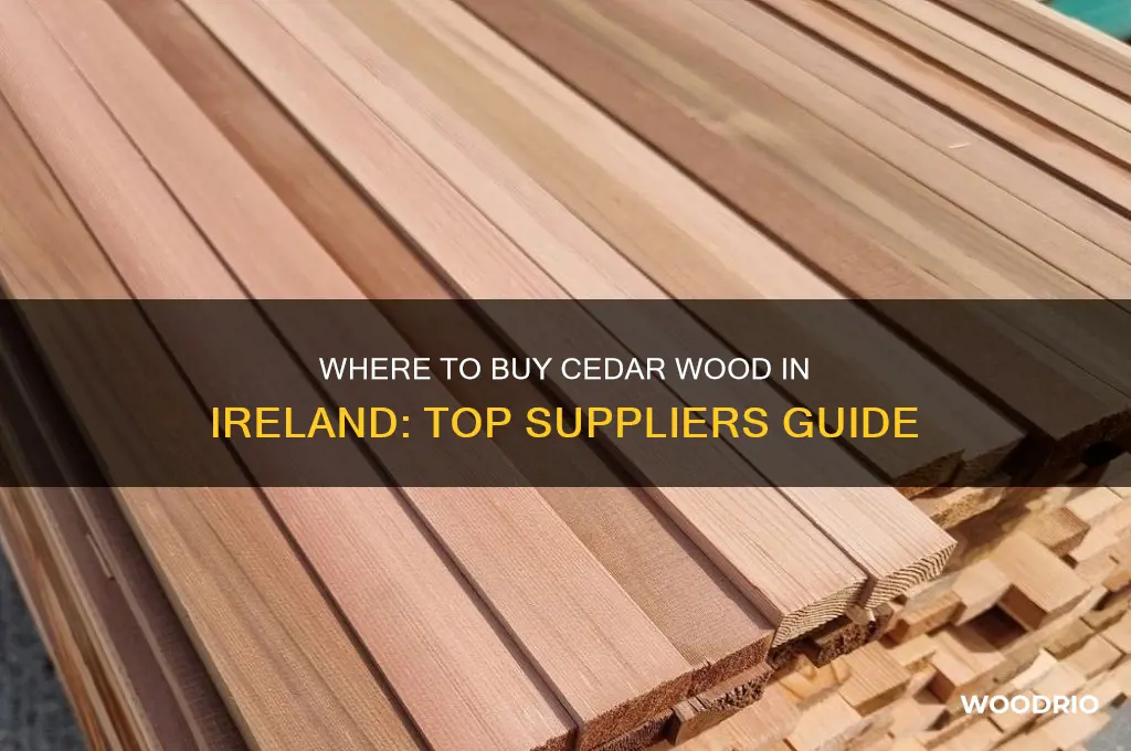 where can i buy cedar wood in ireland